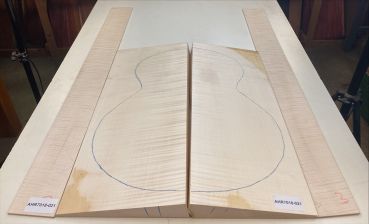 Back & Sides Sycamore / Europ. Maple, Archtop Unique Piece #021